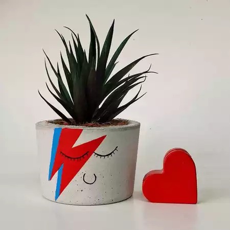 Vasinho cachepô David Bowie com planta artificial e coração